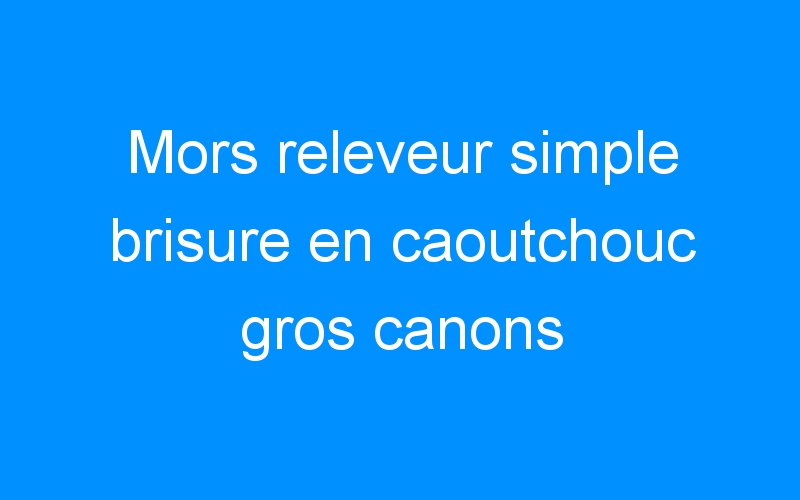 You are currently viewing Mors releveur simple brisure en caoutchouc gros canons