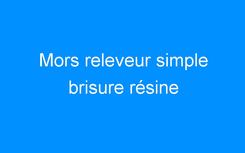 You are currently viewing Mors releveur simple brisure résine