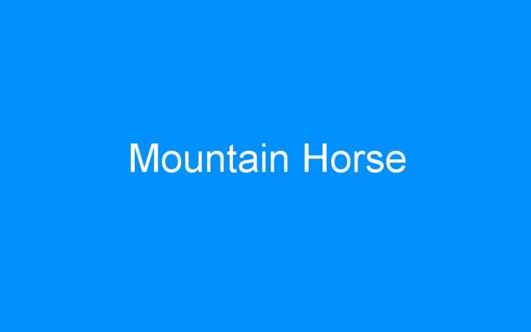Lire la suite à propos de l’article Mountain Horse