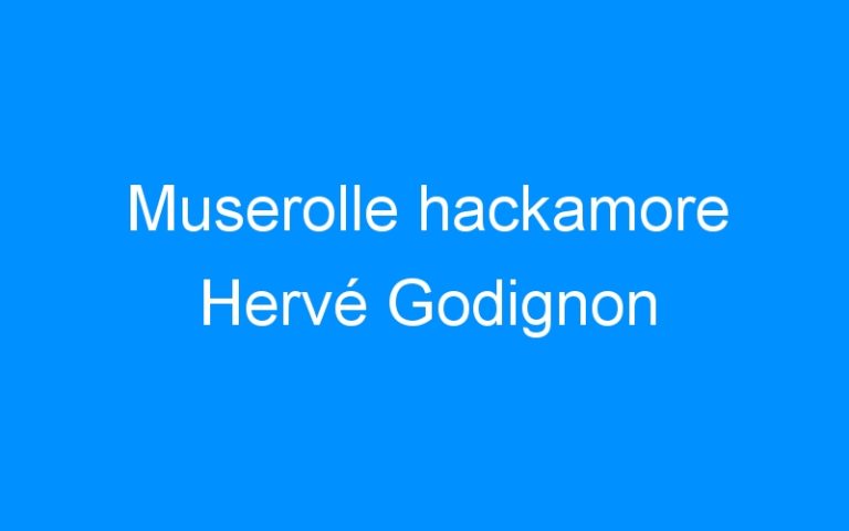 Muserolle hackamore Hervé Godignon