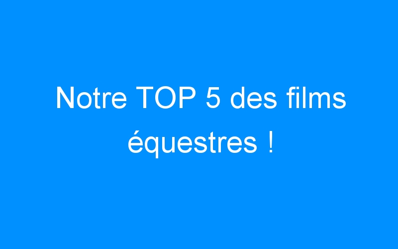 You are currently viewing Notre TOP 5 des films équestres !