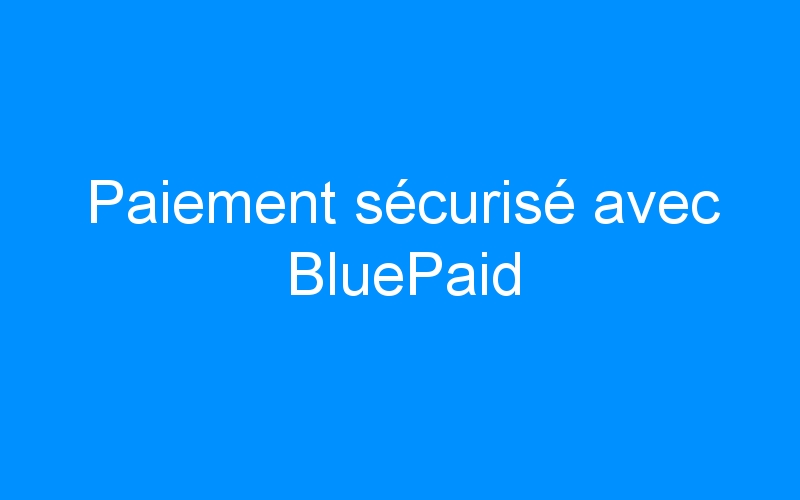 You are currently viewing Paiement sécurisé avec BluePaid