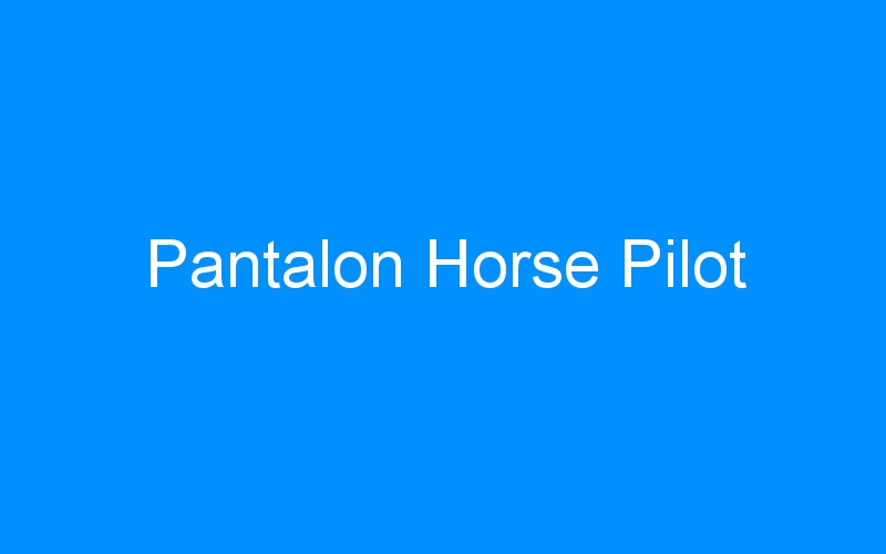 You are currently viewing Pantalon Horse Pilot