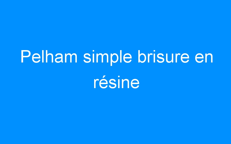 You are currently viewing Pelham simple brisure en résine