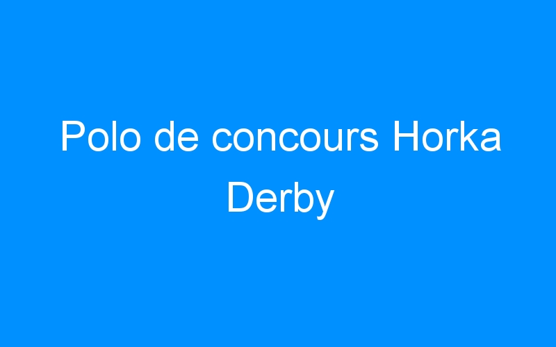You are currently viewing Polo de concours Horka Derby