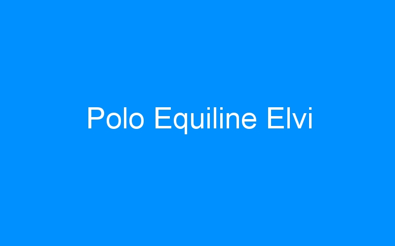 You are currently viewing Polo Equiline Elvi