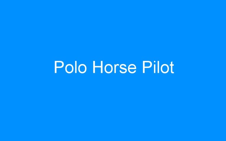 Lire la suite à propos de l’article Polo Horse Pilot