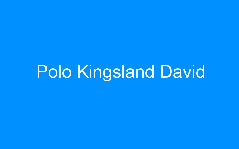 You are currently viewing Polo Kingsland David
