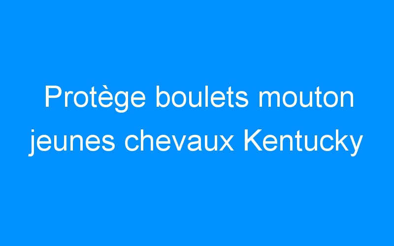 You are currently viewing Protège boulets mouton jeunes chevaux Kentucky