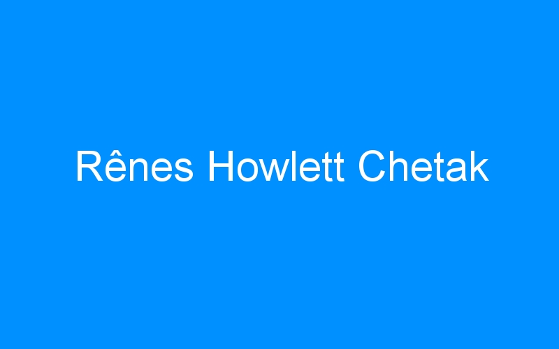 You are currently viewing Rênes Howlett Chetak
