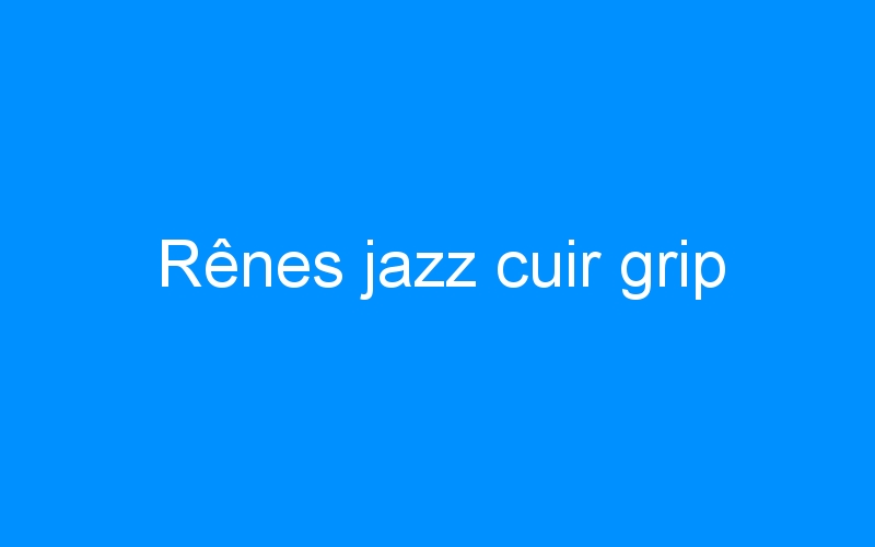 You are currently viewing Rênes jazz cuir grip