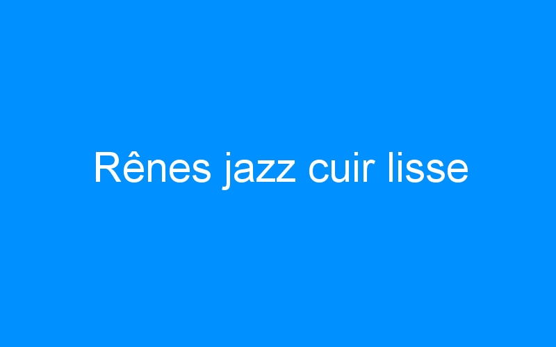 You are currently viewing Rênes jazz cuir lisse