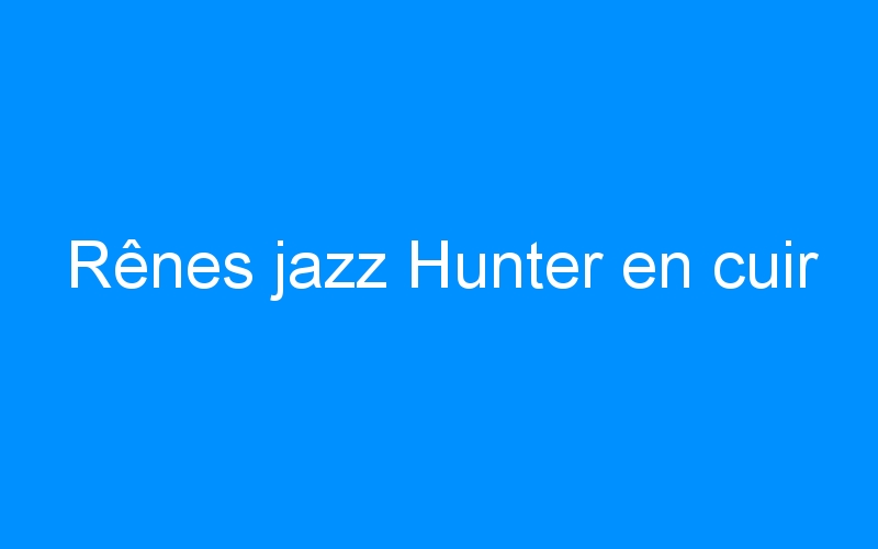 You are currently viewing Rênes jazz Hunter en cuir