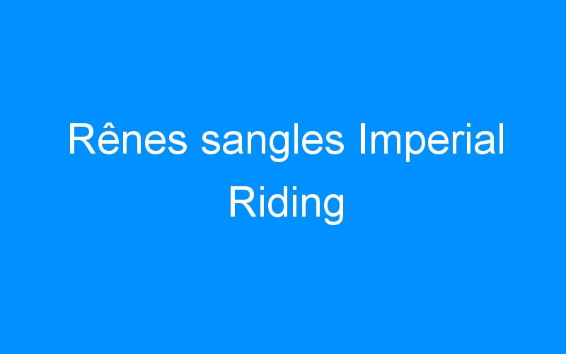You are currently viewing Rênes sangles Imperial Riding
