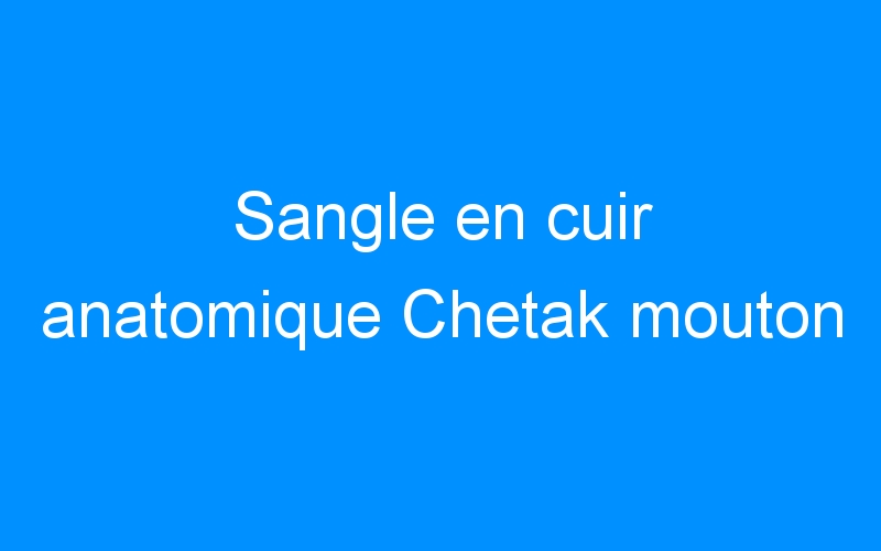 You are currently viewing Sangle en cuir anatomique Chetak mouton