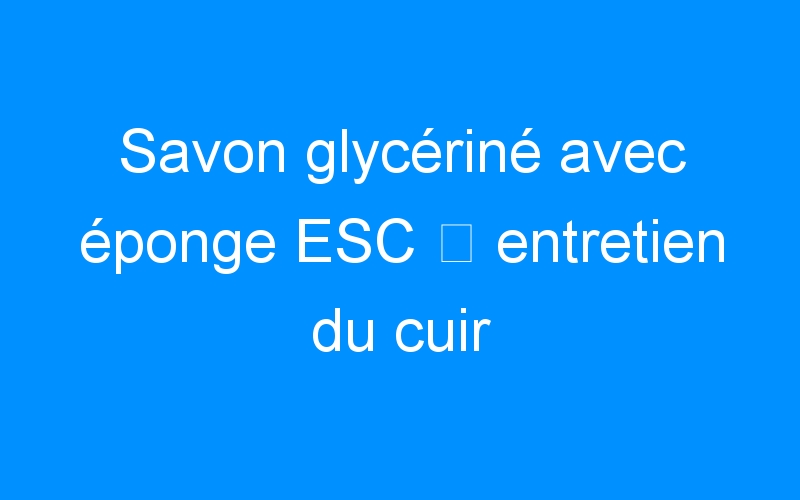 You are currently viewing Savon glycériné avec éponge ESC ⇒ entretien du cuir