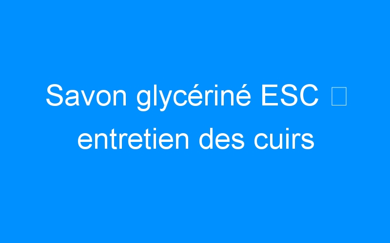 You are currently viewing Savon glycériné ESC ⇒ entretien des cuirs