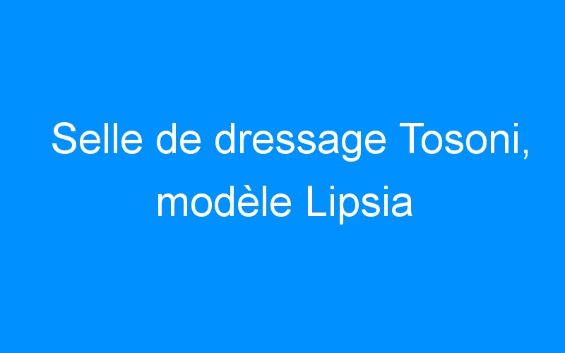 You are currently viewing Selle de dressage Tosoni, modèle Lipsia