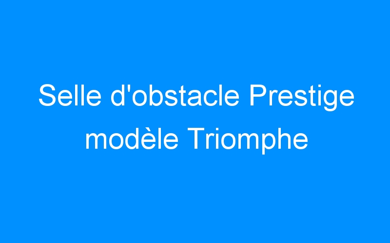 You are currently viewing Selle d’obstacle Prestige modèle Triomphe