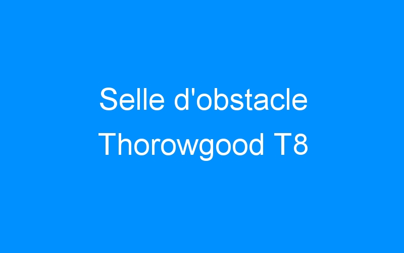 You are currently viewing Selle d’obstacle Thorowgood T8