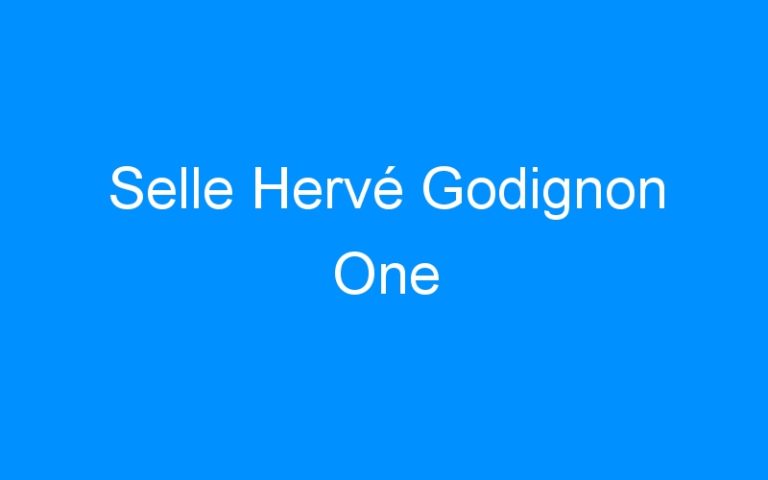 Lire la suite à propos de l’article Selle Hervé Godignon One