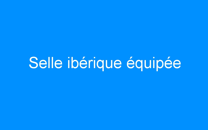 You are currently viewing Selle ibérique équipée