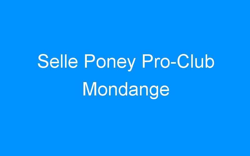 Selle Poney Pro-Club Mondange