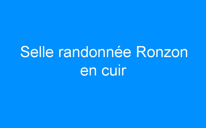 You are currently viewing Selle randonnée Ronzon en cuir
