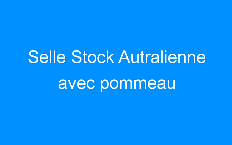 You are currently viewing Selle Stock Autralienne avec pommeau
