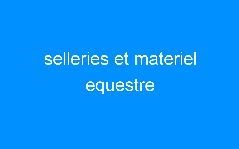 You are currently viewing selleries et materiel equestre