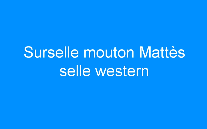 You are currently viewing Surselle mouton Mattès selle western