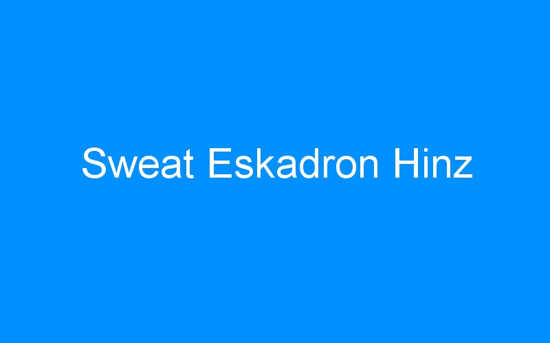 You are currently viewing Sweat Eskadron Hinz