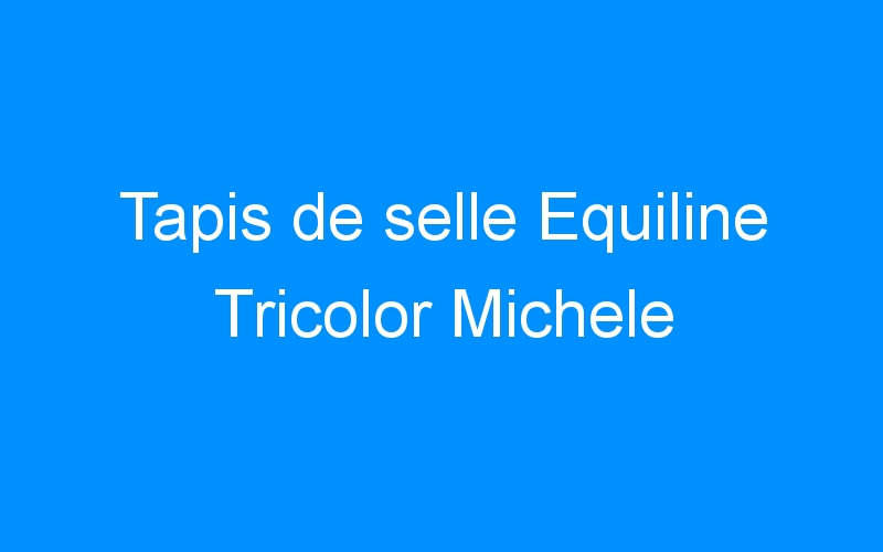 You are currently viewing Tapis de selle Equiline Tricolor Michele