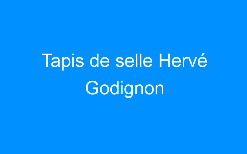 You are currently viewing Tapis de selle Hervé Godignon