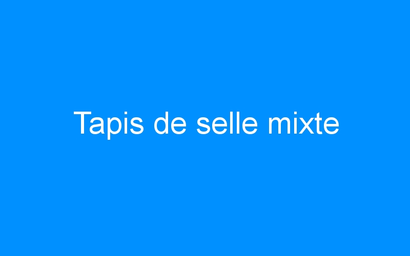 You are currently viewing Tapis de selle mixte