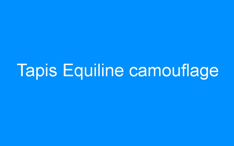 You are currently viewing Tapis Equiline camouflage