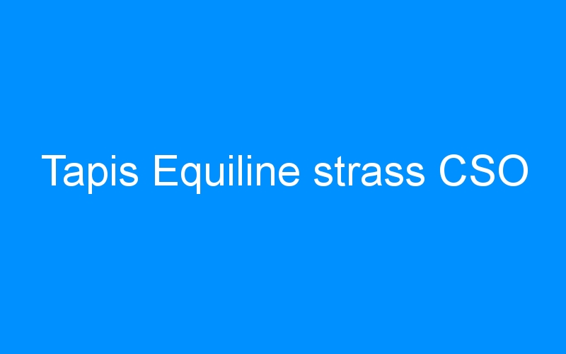 You are currently viewing Tapis Equiline strass CSO