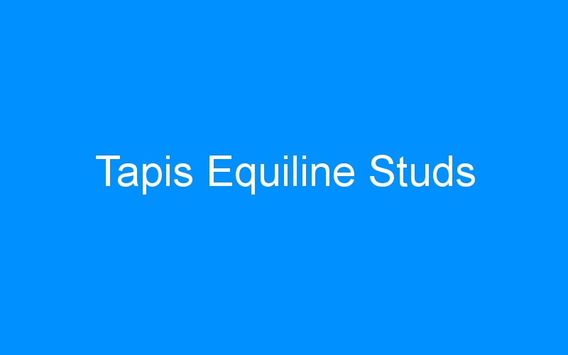 You are currently viewing Tapis Equiline Studs