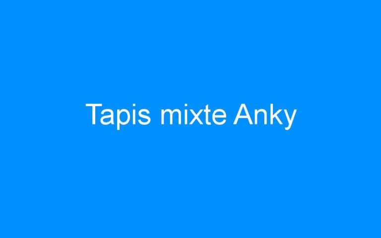 Lire la suite à propos de l’article Tapis mixte Anky