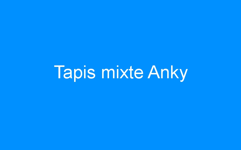 You are currently viewing Tapis mixte Anky