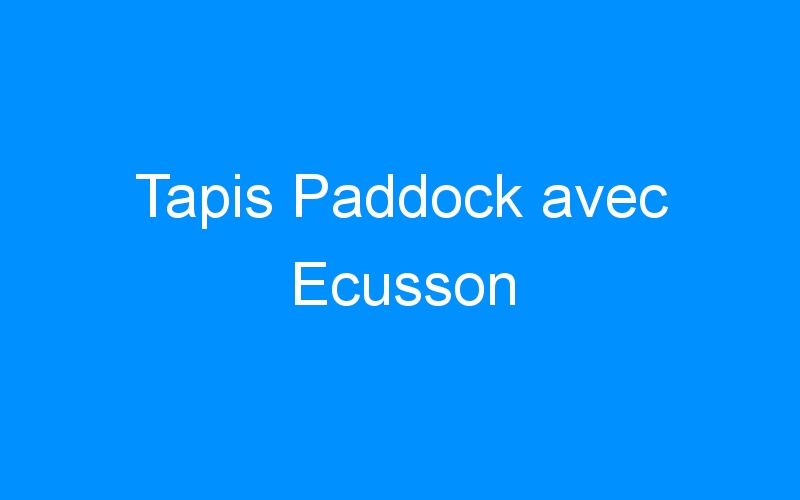 You are currently viewing Tapis Paddock avec Ecusson