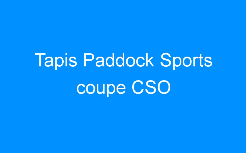 You are currently viewing Tapis Paddock Sports coupe CSO
