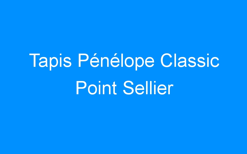 Lire la suite à propos de l’article Tapis Pénélope Classic Point Sellier