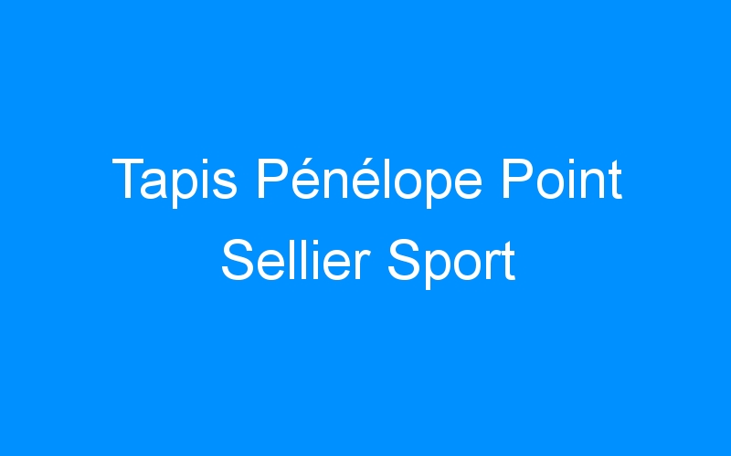 You are currently viewing Tapis Pénélope Point Sellier Sport