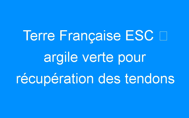 You are currently viewing Terre Française ESC ⇒ argile verte pour récupération des tendons