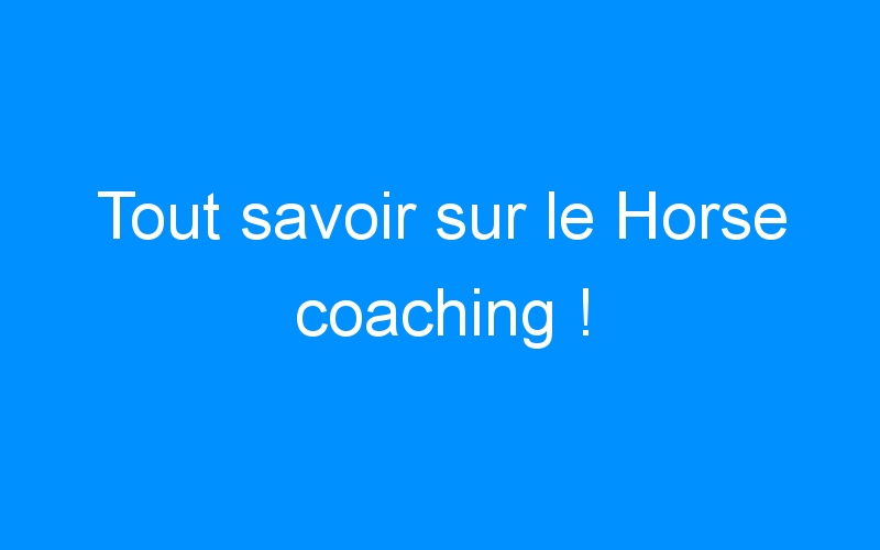 You are currently viewing Tout savoir sur le Horse coaching !