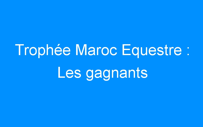 You are currently viewing Trophée Maroc Equestre : Les gagnants