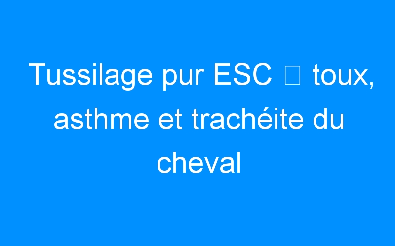 You are currently viewing Tussilage pur ESC ⇒ toux, asthme et trachéite du cheval